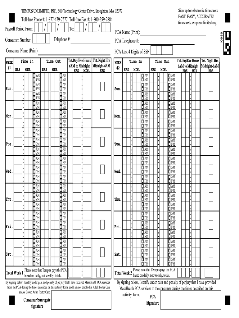 Tempus Timesheets - Fill Online, Printable, Fillable, Blank throughout Tempus Unlimited W2 Form
